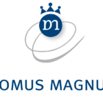 Domus Magnus